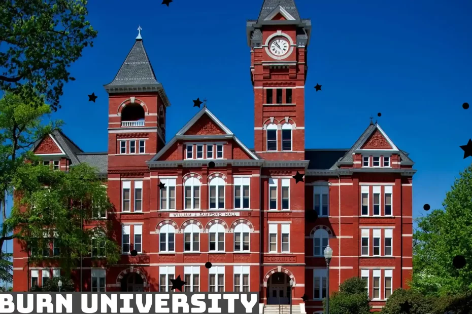 auburn university education